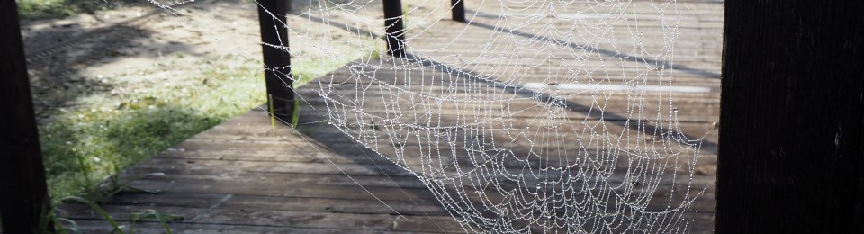 Viljandi järv, 2019-4